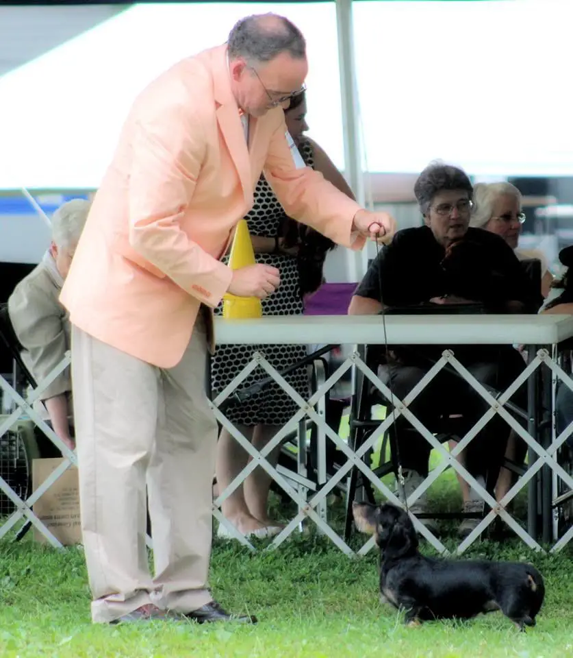 VHH & EJ's Chamomile with Honey Mw