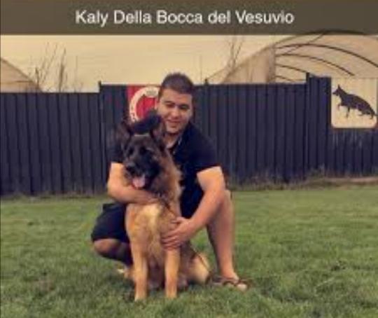 Kaly della Bocca del Vesuvio