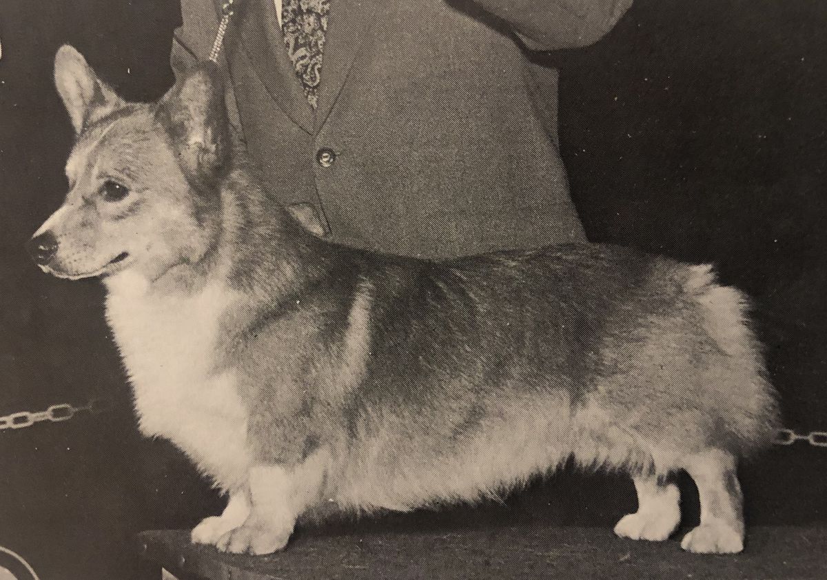 CH Bear Acres Good Going