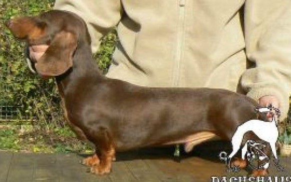 CAC, CC BonLon's Slippin N Sliden CMS