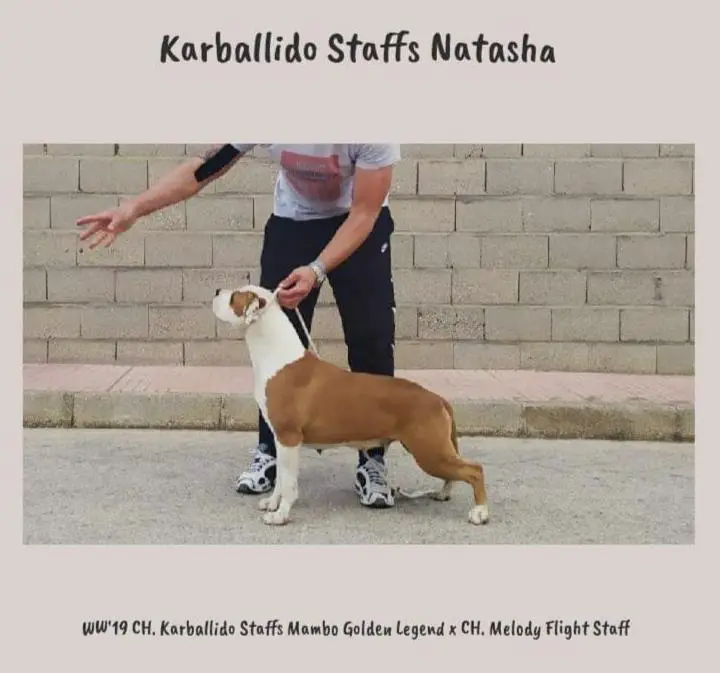 Karballido Staffs Natasha