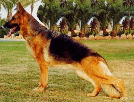 Liesa vom Sonnengarten