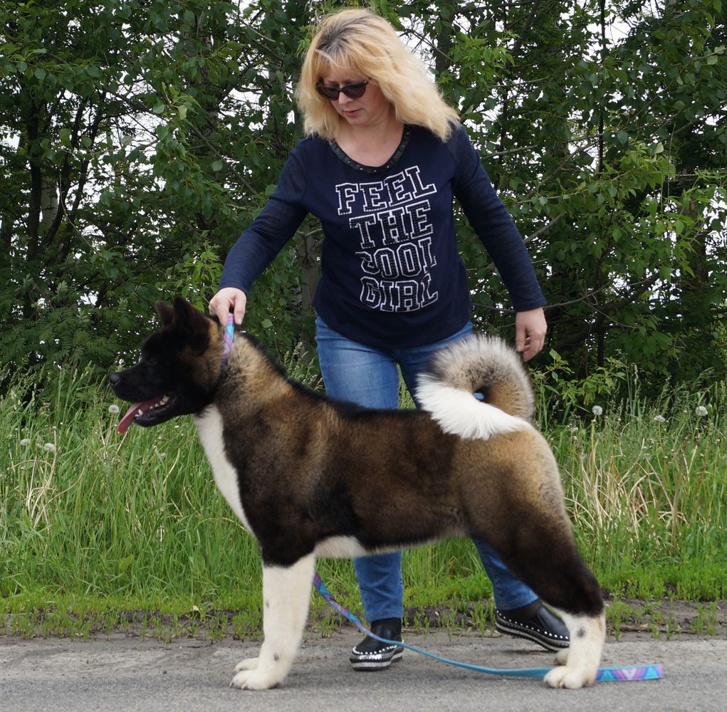 Planeta Udachi Bring Me Gold