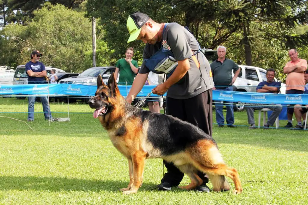 Tuko da Casa Mariotti