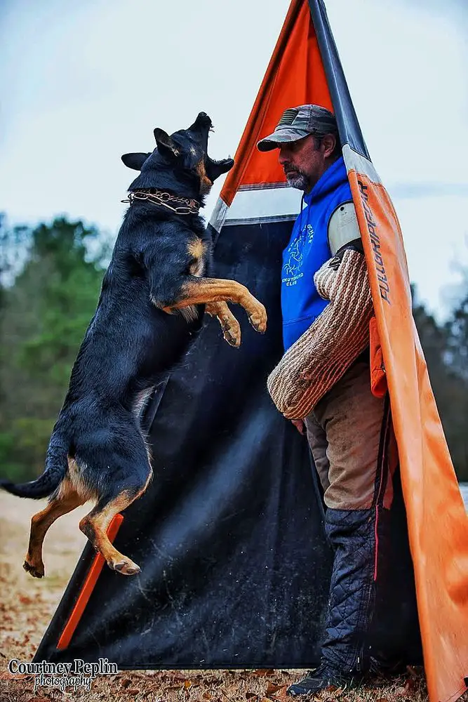 SG Voice von Walshagen