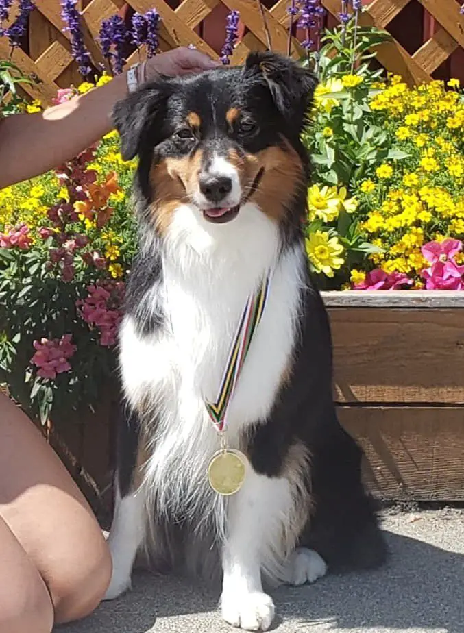 Ragtime Happy Hour Tryst