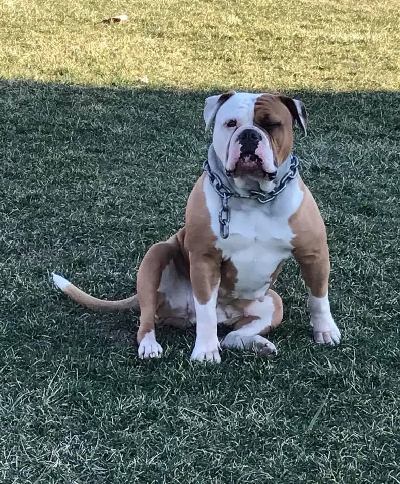 FYB Timber
