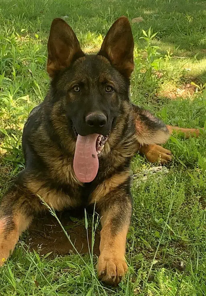 Titan JipoMe Vom Top Gun