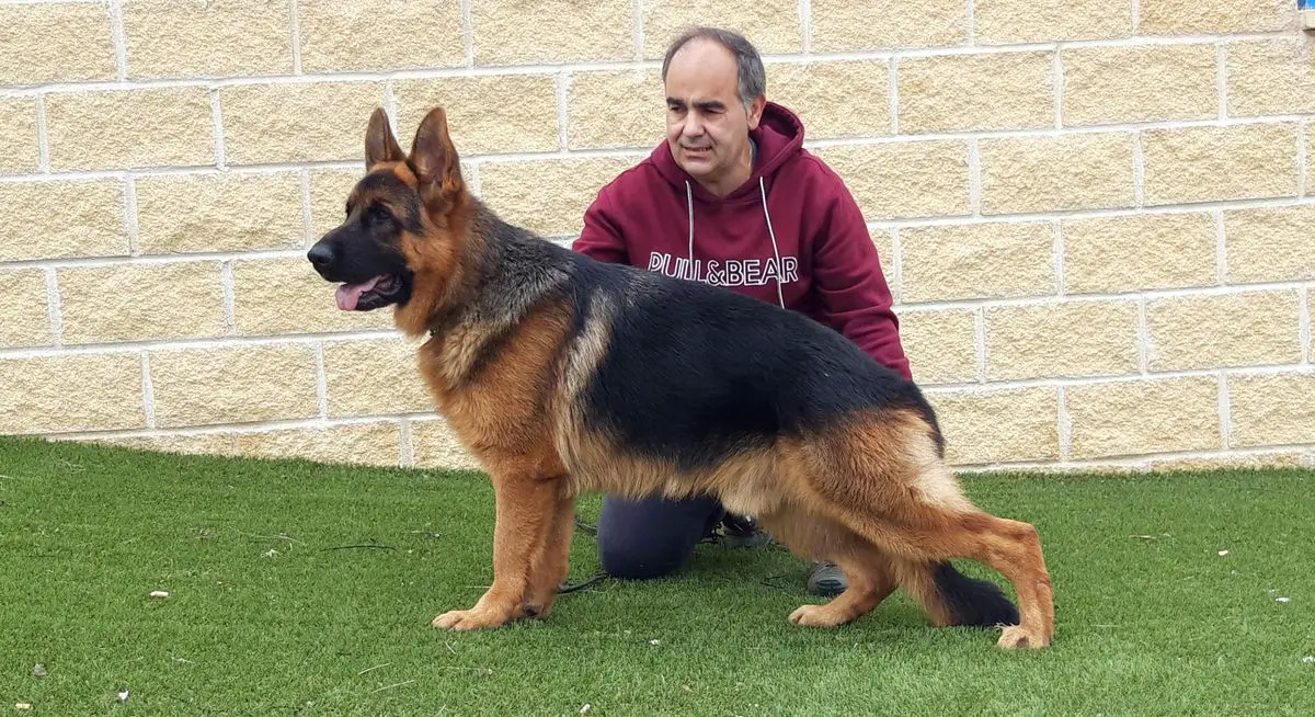 Flores de los Sureños