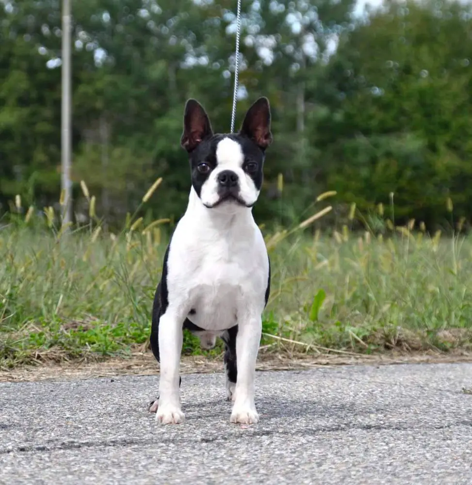 Barry White for 23 STH