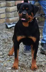 Mima von Erster blick