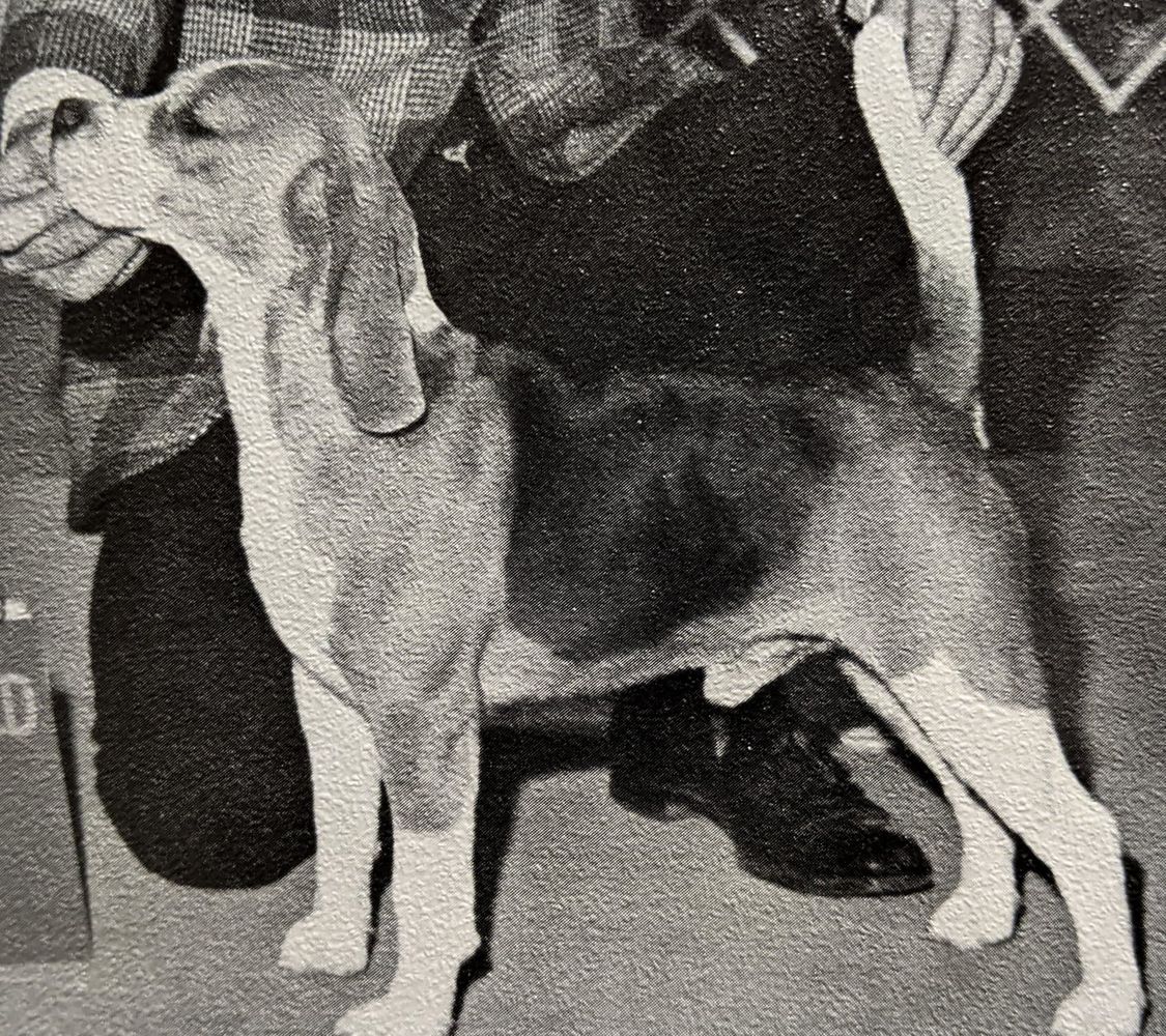 CH Pixshire's Stockbroker