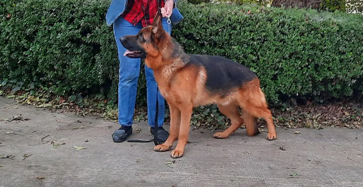 V Ovest della Valcuvia