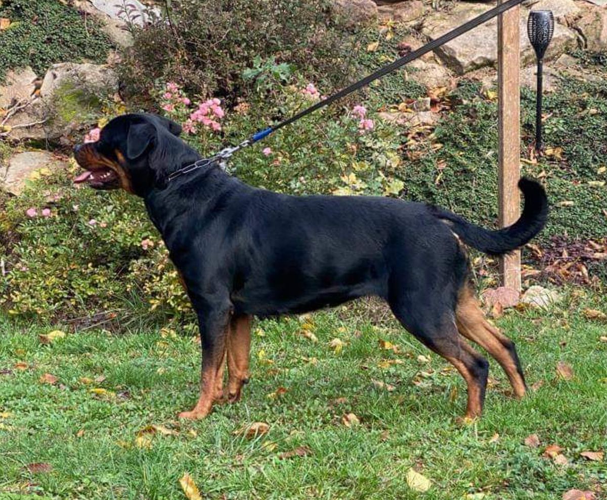 Umbra vom Kirmesplatz