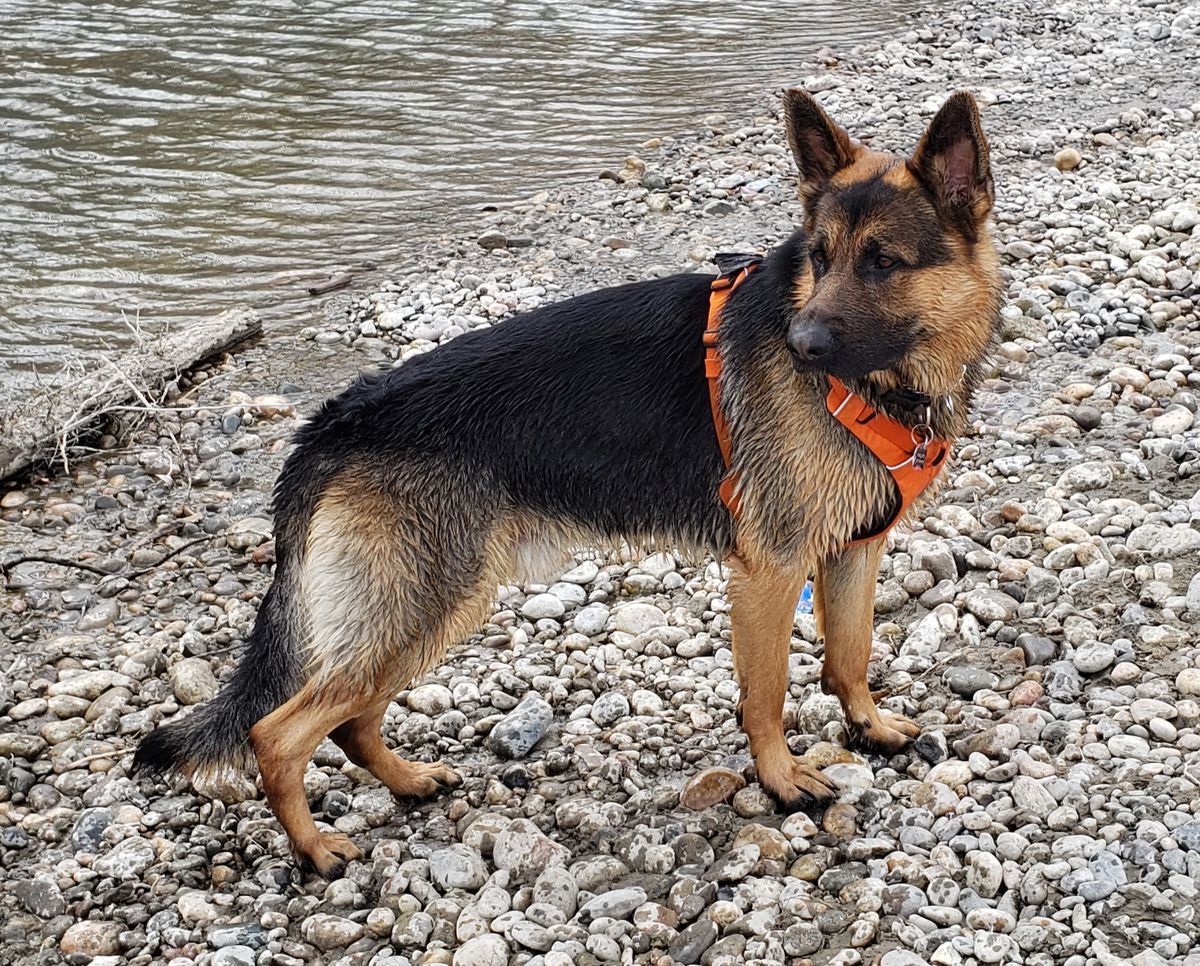 Wildaspen's Ballroom Blitz