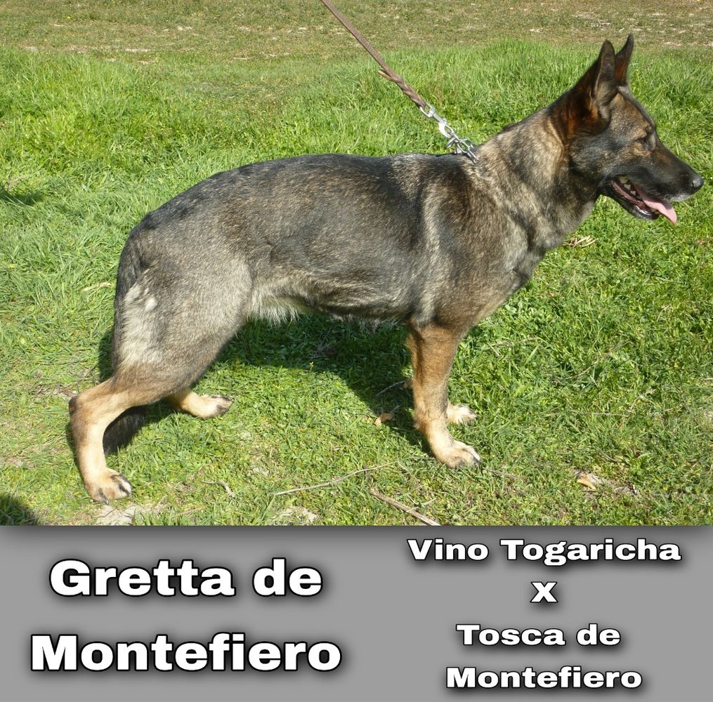 GRETHA DE MONTEFIERO