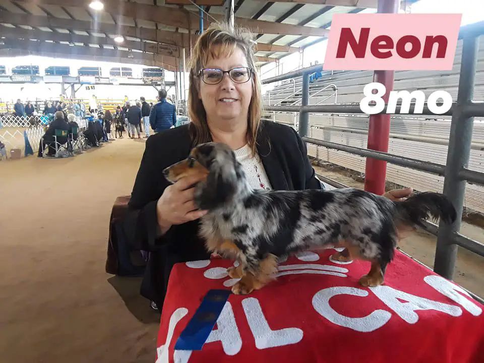 Melady's Paragon Of Destiny