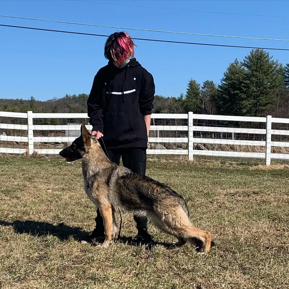 Solid Rock-Schneiderhof's Trick Or Treat V Kysarah