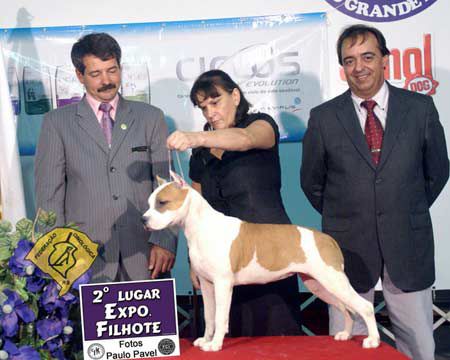 CHAMPION'S LINE LUZ DEL FUEGO