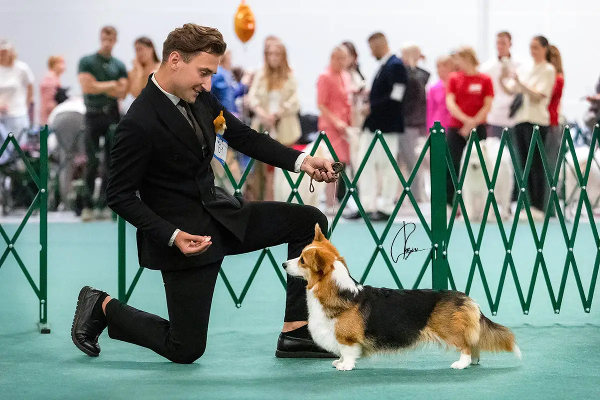 JENEVA z Piaschotnai Zorki