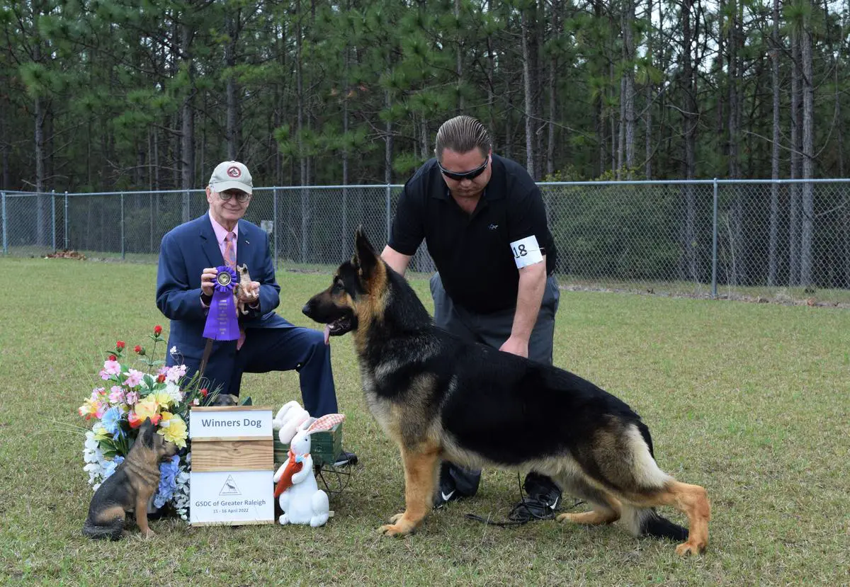 GCH BISS Krystal's Requiem