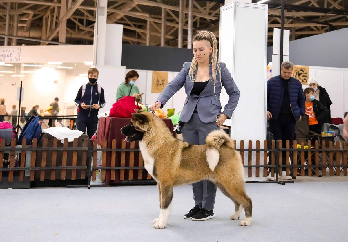 Valgrand Victory Barni