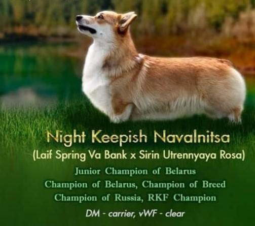 JCH.BY, CH.BY, CH.BREED, CH.RKF Night Keepish Navalnitsa