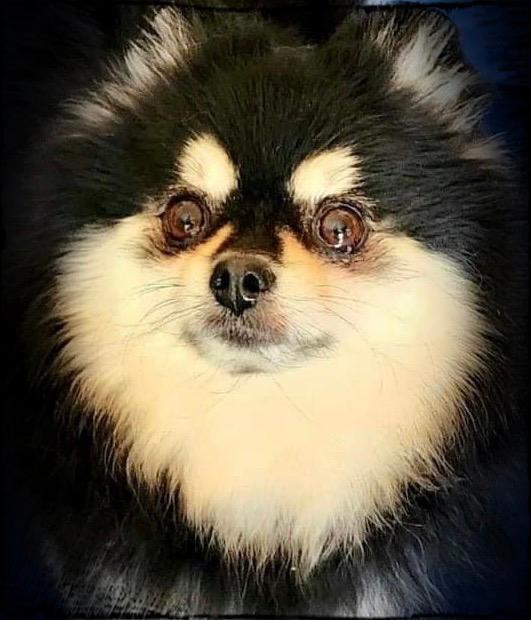 Queam’s Windchimes