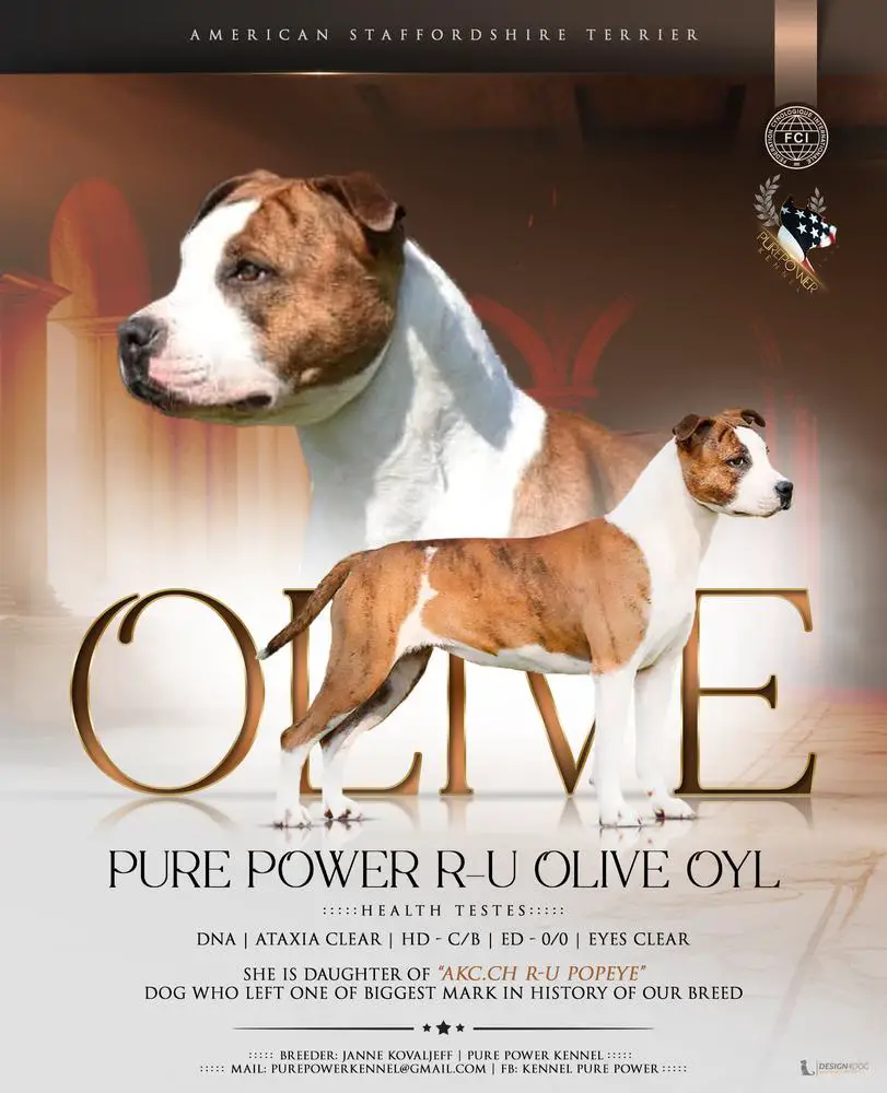 Pure Power R-U Olive Oyl