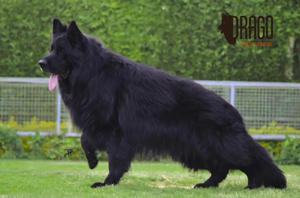 Team Zilber Wasserfall Uranos