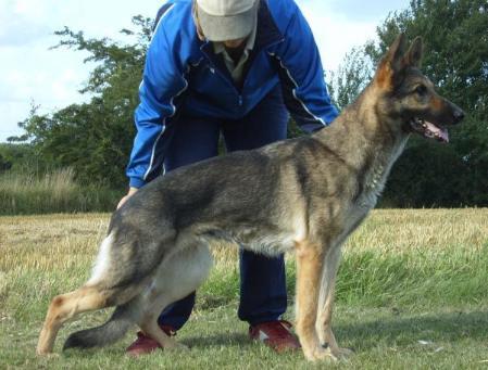 G Bacardi von der Schwedenfestung