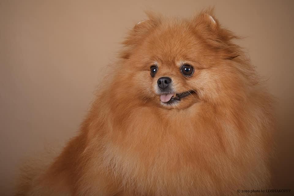 Solar Smile Style Of My Euphoria