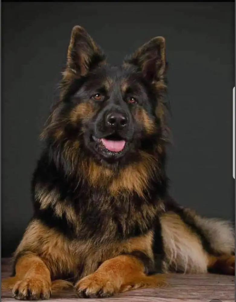 Cooper von Mar-Nad