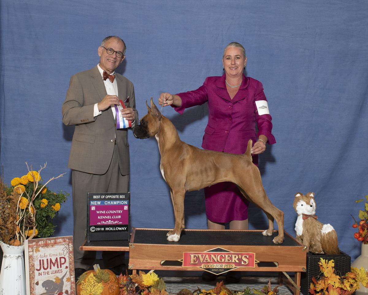 Champion Ensign's Impression