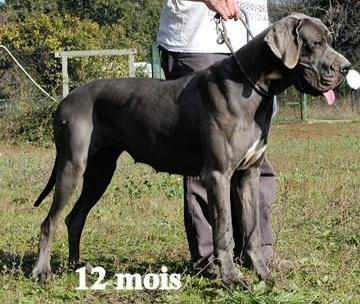 FEMME DE LUXE DE LA BENJAMINE