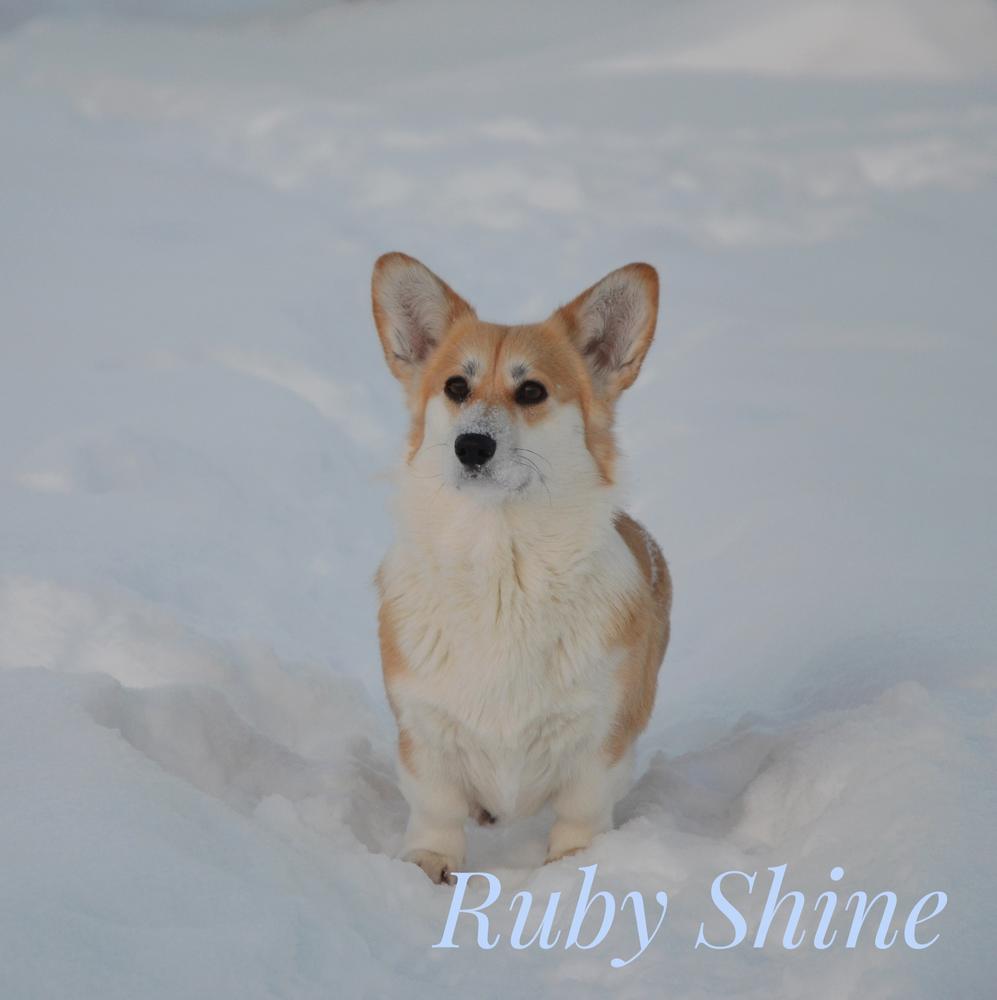 Ruby Shine Shadow of the moon