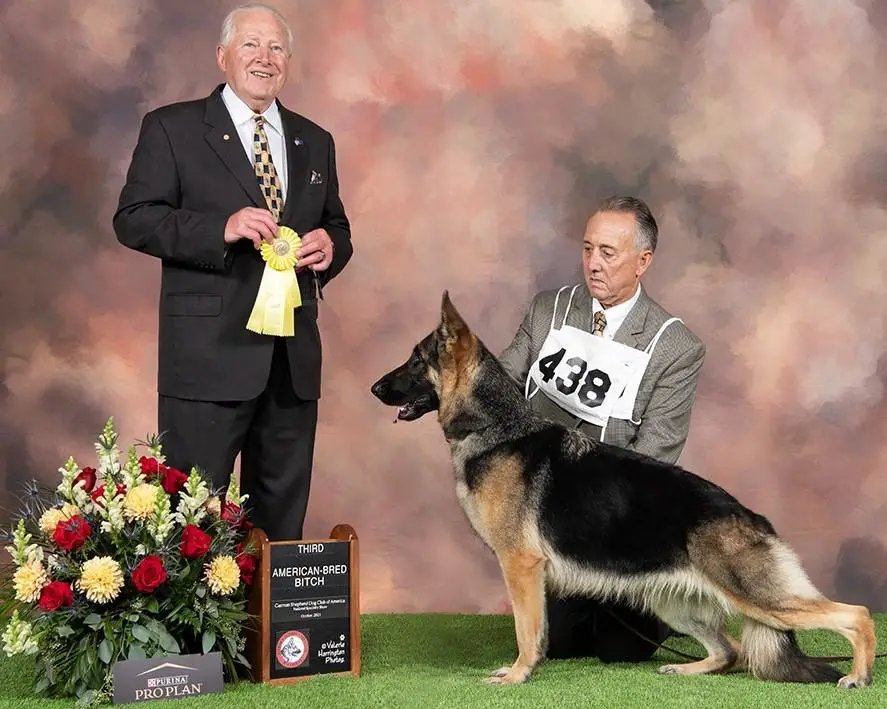 Ambers Last Word of Tonor-New Era