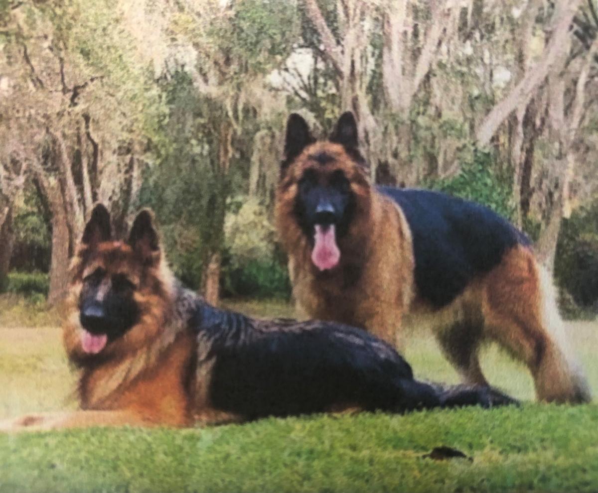 Luna Van Godinghofer