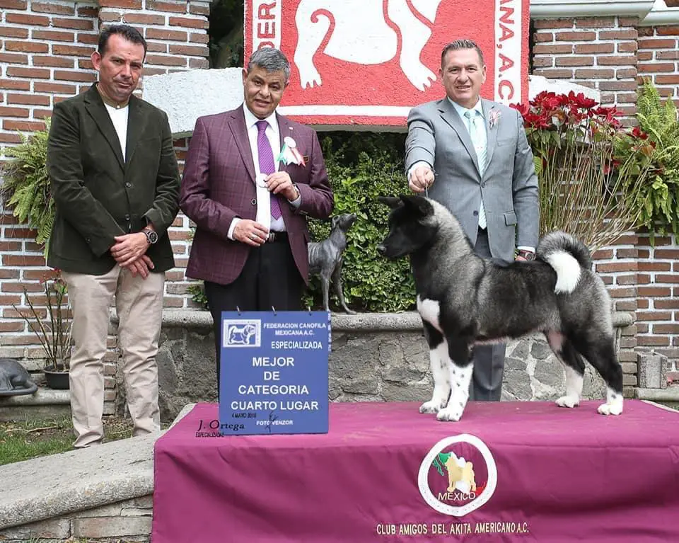 La Llorona (Hernandez)