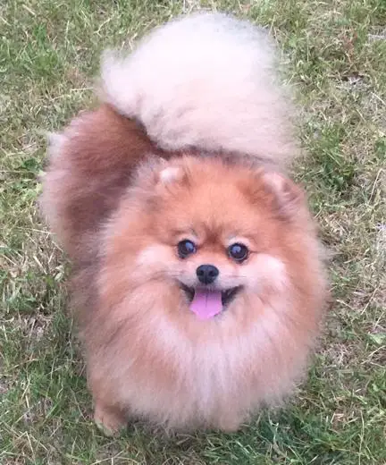 Avalon's There Can Be Miracles