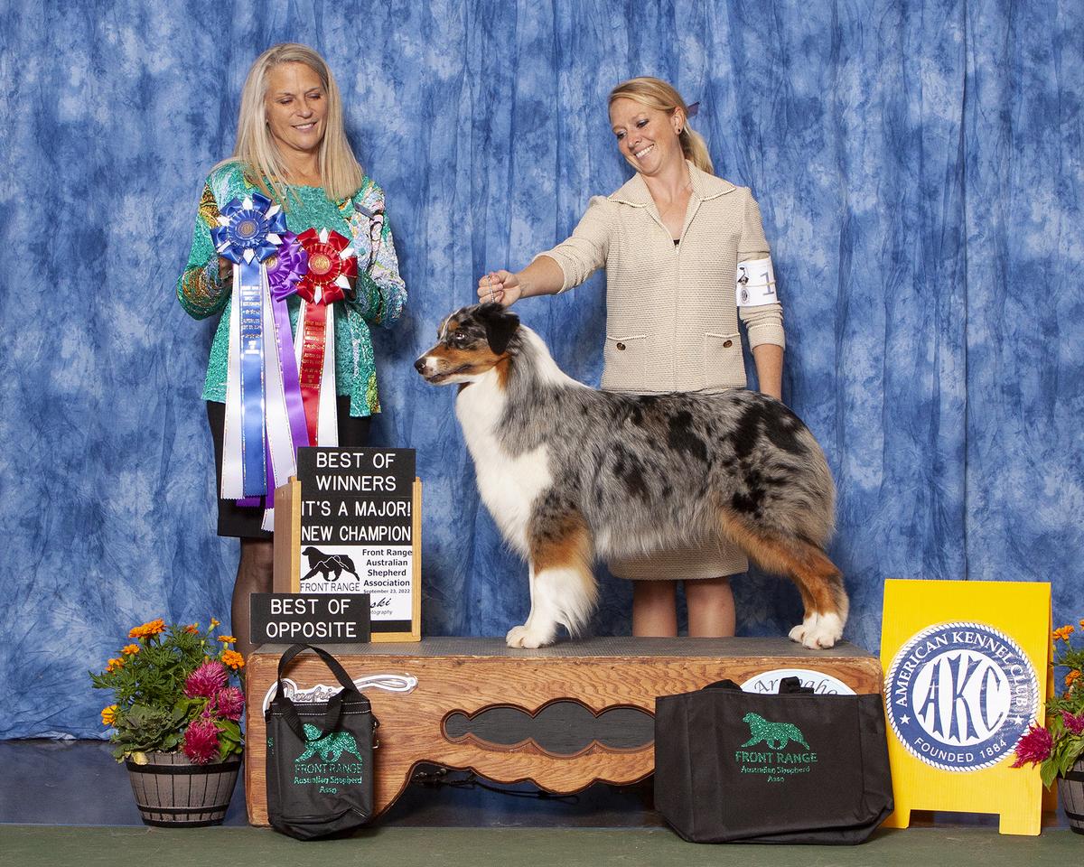 AKC CH Northbay Xsell Smile Down The Catwalk