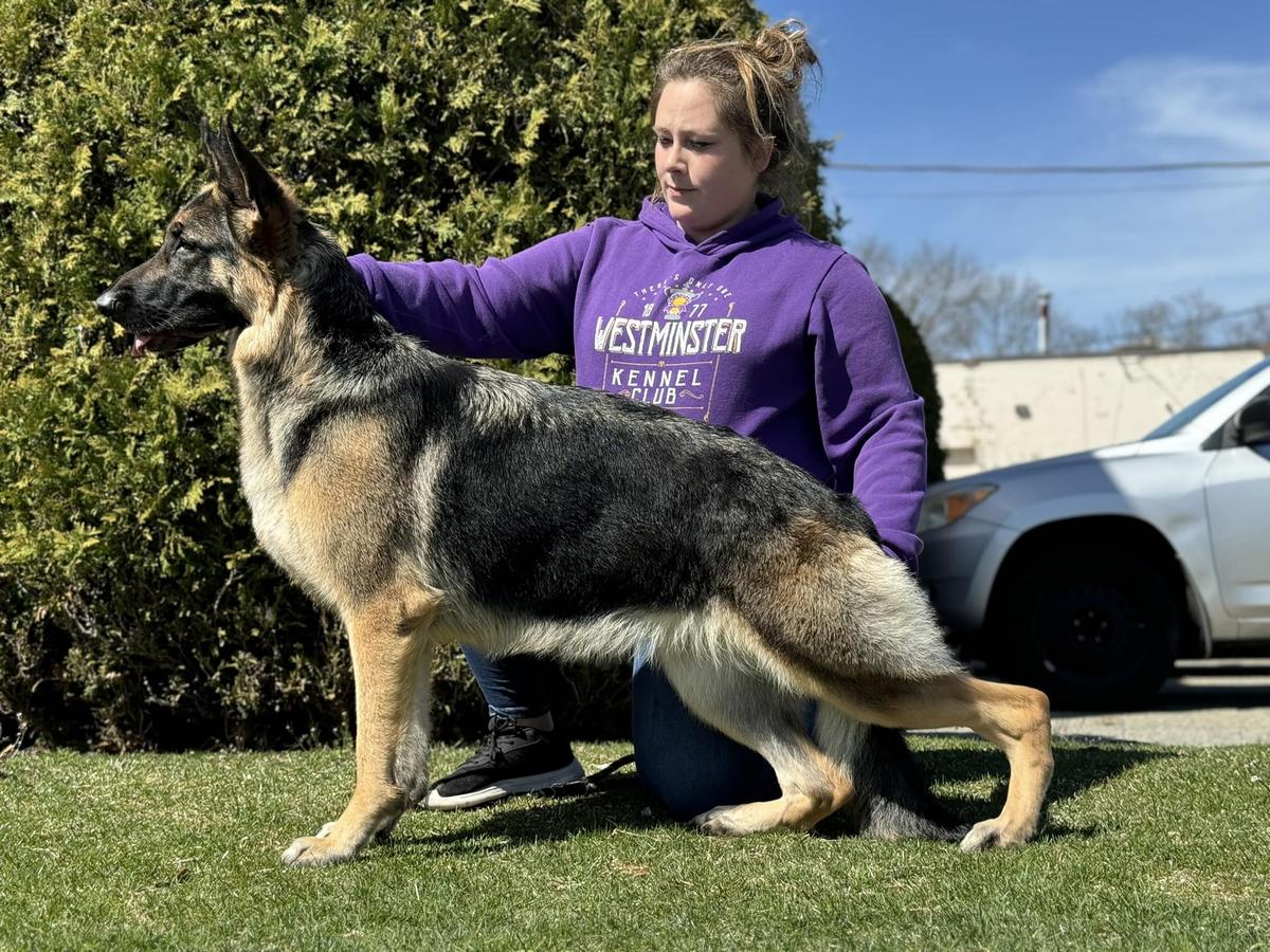 Go The Distance V Neuanfang-Bewegung