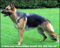 V Bella vom Hadeckerland