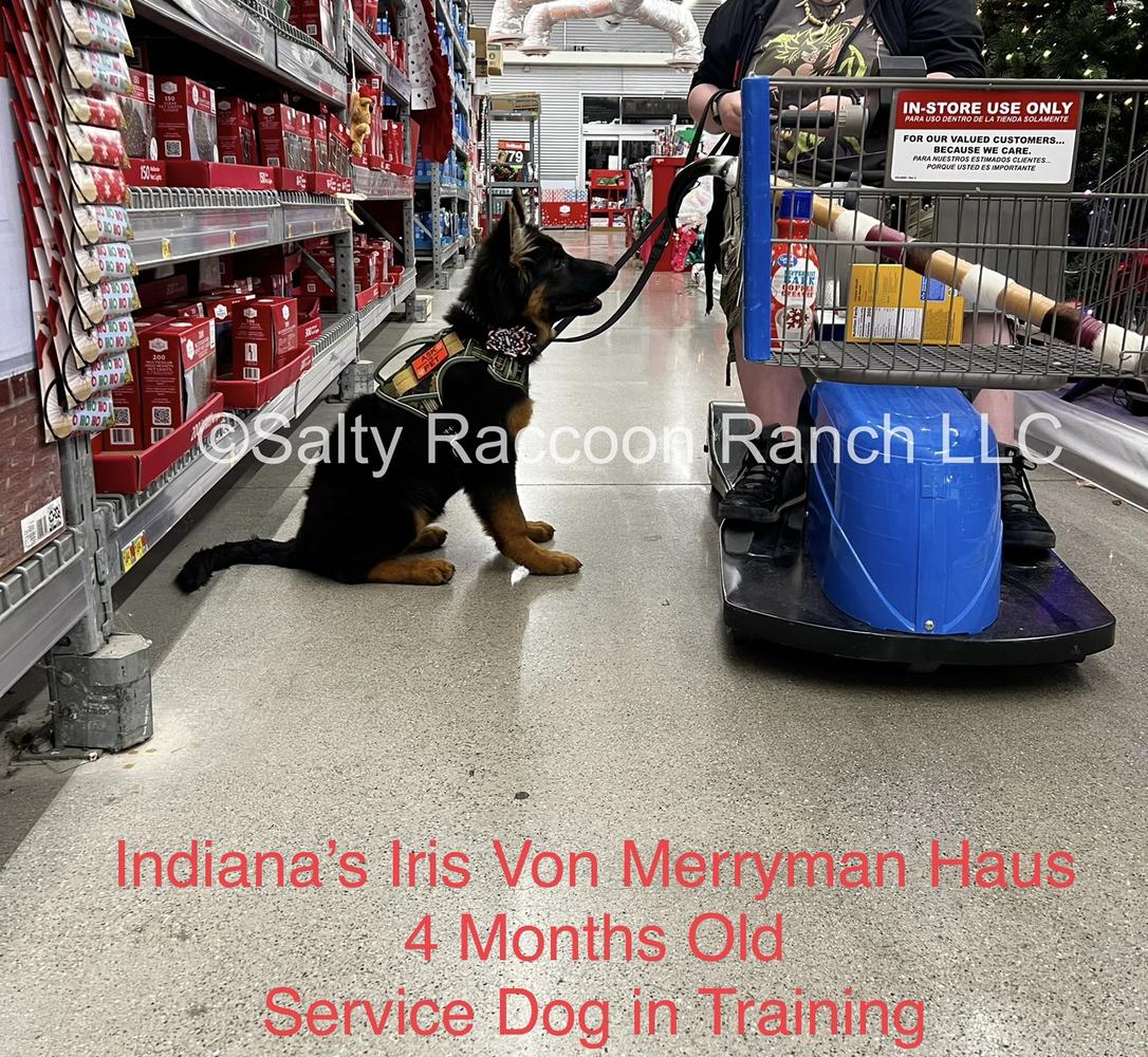 Indiana’s Iris Von Merryman Haus