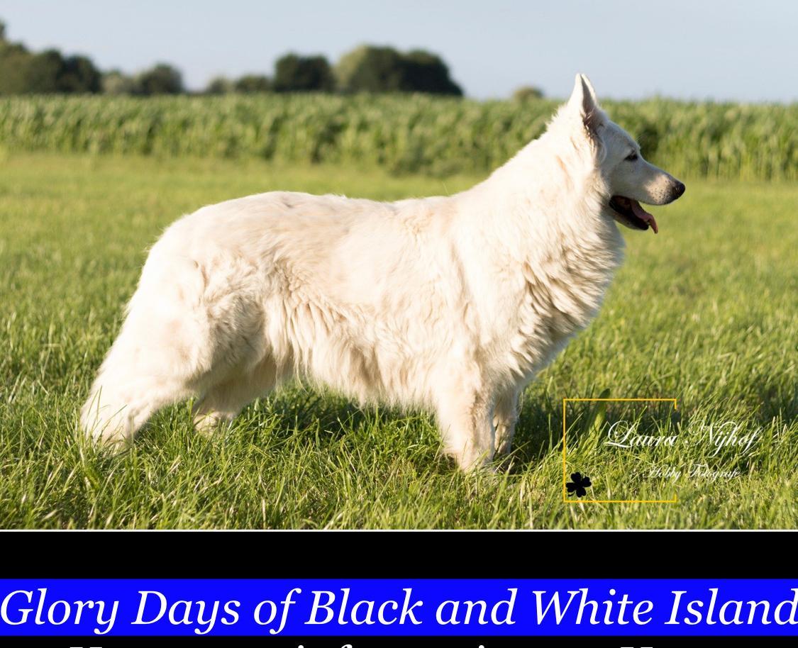 Glory Days of Black and White Island