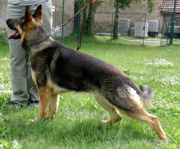 SG Debbie Soví mlyn