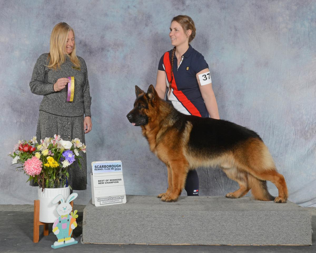 SG CH YOSHI VON LOUSAR