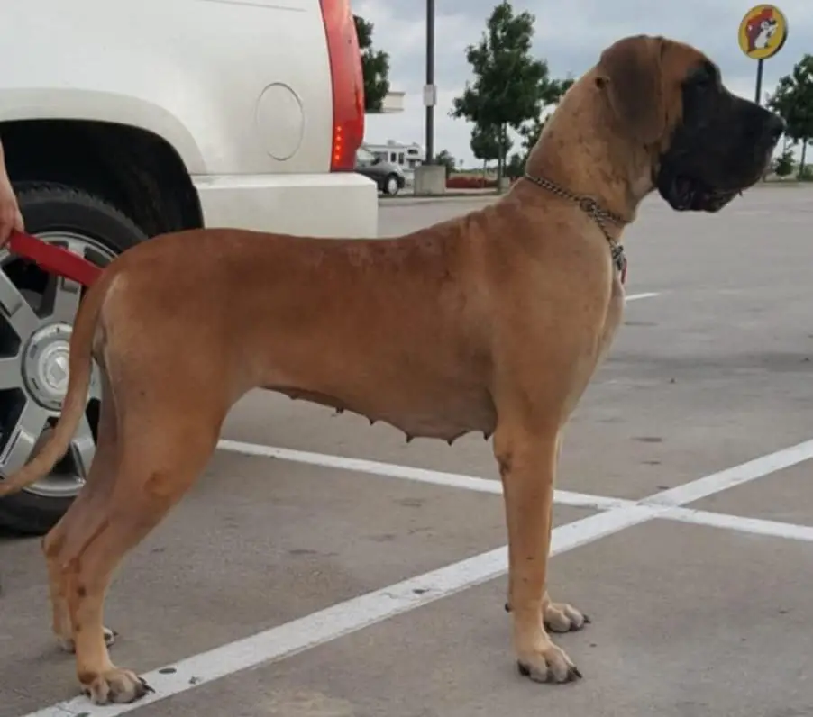 Fasstari Believe In Love