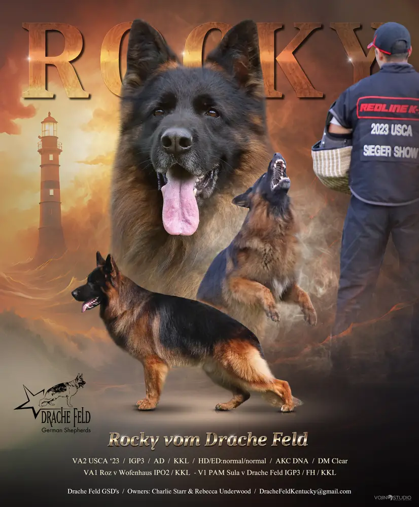 VA2 (USCA 2023) Rocky Vom Drache Feld