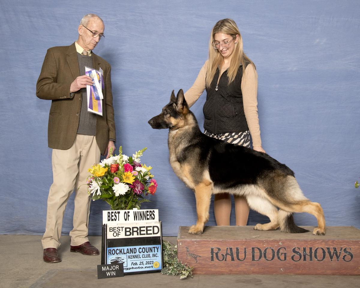 CH Karizma’s Argentine Tango Von Loar